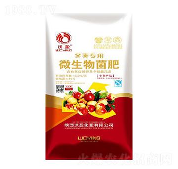 冬棗專(zhuān)用微生物菌劑-沃盈生物
