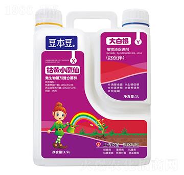 枯黃小魔仙+大白根（好伙伴）-豆本豆