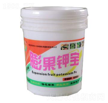 ���⛌�-�|���t