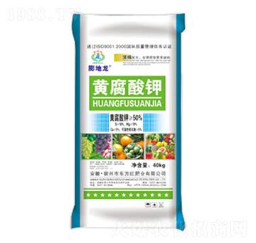 �S�����-�����-�|��