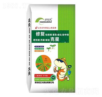 �ޏ�(f��)����-������ʘI(y��)