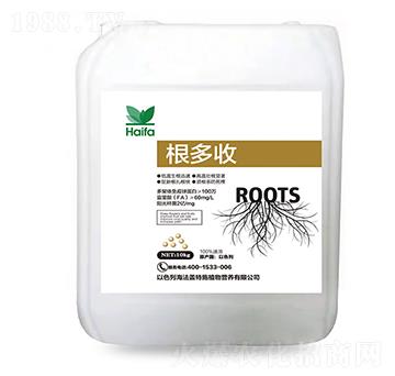 根多收-海法蓋特施