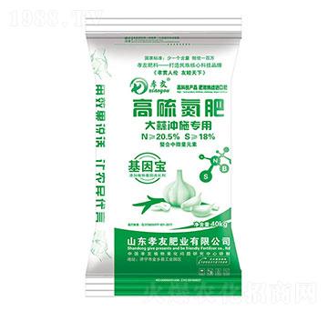 大蒜沖施專用高硫氮肥-孝友