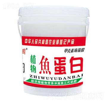 ֲ���~(y��)����-�Έ@-�����߷ʘI(y��)