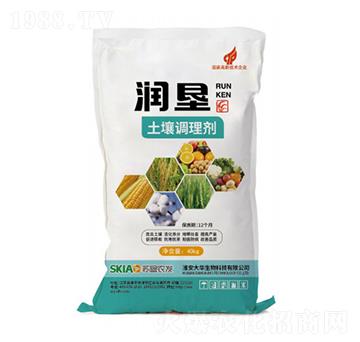 �����{(di��o)�턩-����-���A����