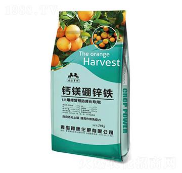 �����ޏ��A���S������-�}�V���\�F-��������