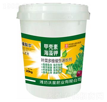 葉菜多維催生速長劑-沃星肥業(yè)