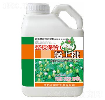 整枝保鈴猛上桃-沃星肥業(yè)