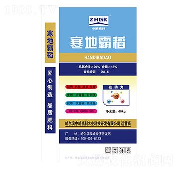 寒地霸稻-中哈高科