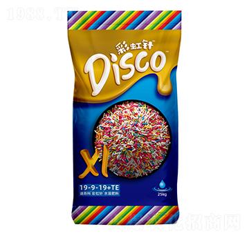 彩虹針?biāo)芊柿?9-9-19+TE-迪斯科