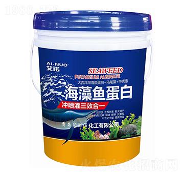 海藻魚蛋白-艾諾得