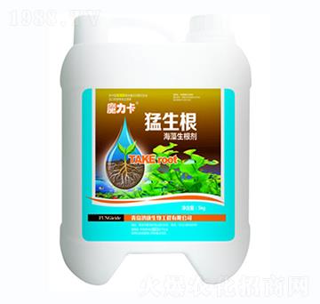 ����������-������-ħ����-��������