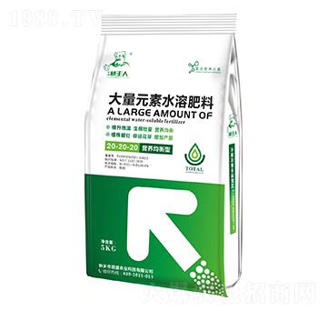 大量元素水溶肥料20-20-20-碧盛農(nóng)業(yè)