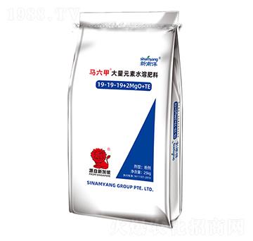 大量元素水溶肥料19-19-19+2MgO+TE-馬六甲-新南洋