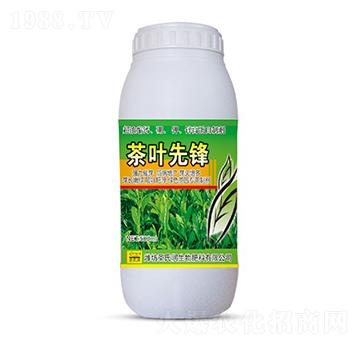 茶葉先鋒-圣氏潤