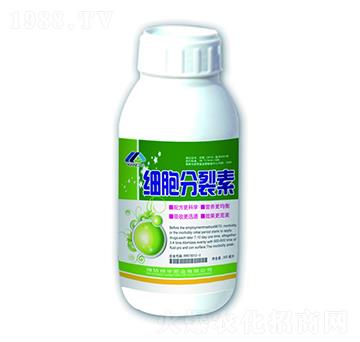 細(xì)胞分裂素-祥宇肥業(yè)