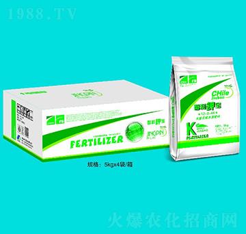 ����⛌�-����ʘI(y��)