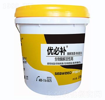 酶解海藻魚蛋白-優(yōu)必補-鑫垚生物