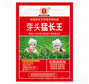 茶葉專(zhuān)用催芽激活素-芽頭猛長(zhǎng)王-金田豐