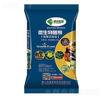 低聚豆肽型微生物菌劑-喜耕田