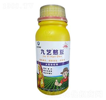 九藝憨豆-九藝綠洲