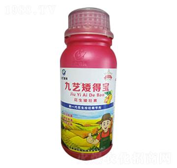 九藝矮得寶-九藝綠洲