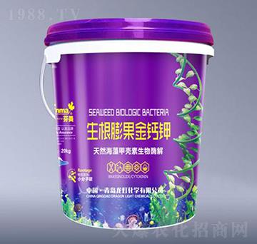 生根膨果金鈣鉀-芬美-龍燈