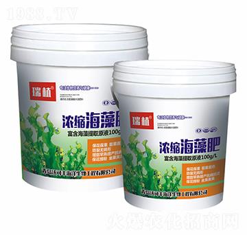 濃縮海藻肥-沃可豐