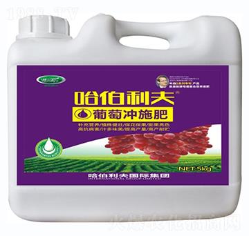 ���ь�(zhu��n)�Û_ʩ��-��������