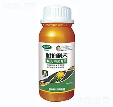 �f(w��n)�۾Ռ�(zhu��n)��-��������