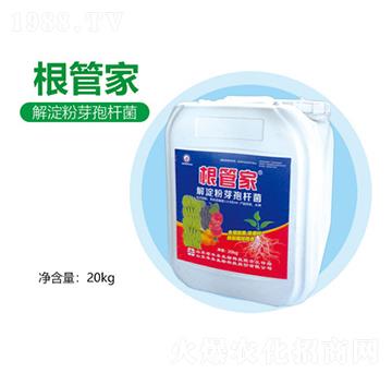 解淀粉芽孢桿菌-根管家-豐本生物