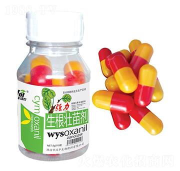 強(qiáng)力生根壯苗劑-沃豐澤農(nóng)-沃豐生物