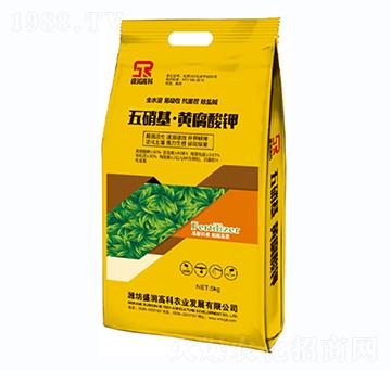 五硝基·黃腐酸鉀-盛潤(rùn)高科