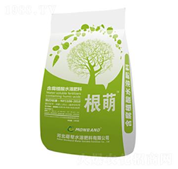 含腐植酸水溶肥料-根萌-眾人聯(lián)合