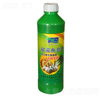 大蒜專用-郁蘢魚皇金-郁蘢生物