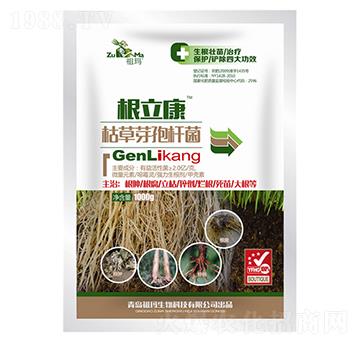 枯草芽孢桿菌-根立康-祖瑪-允發(fā)化工