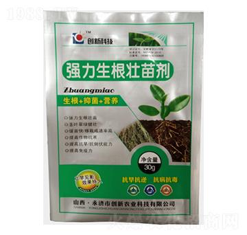 �����������焩-��(chu��ng)��