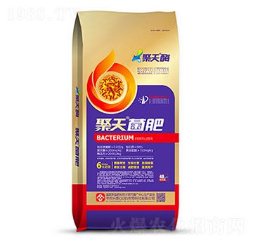 �������40kg-���r�d̩