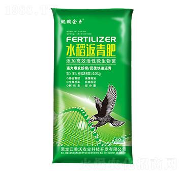 水稻返青肥-秀沃農(nóng)業(yè)