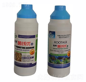 甲殼素線蟲系列-海殼生物