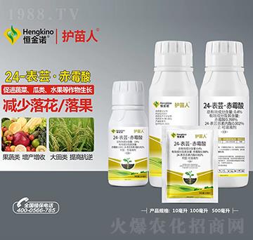 24-表蕓·赤霉酸可溶液劑-護(hù)苗人-恒金諾