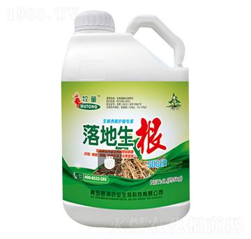 �������-�ŝ�(r��n)