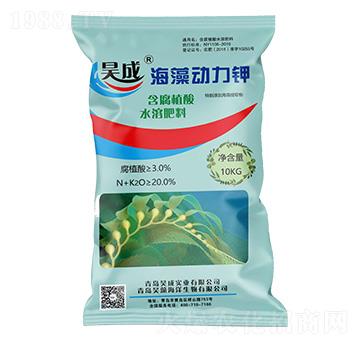 �����(d��ng)��⛣��ۄ���-껳Ɍ�(sh��)�I(y��)