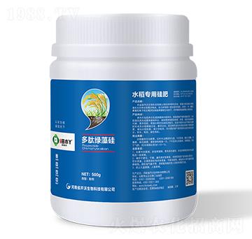 多肽綠藻硅-田小丫-開沃生物