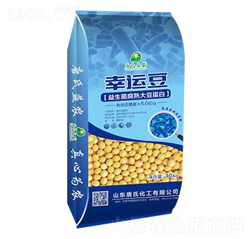 ����������󶹵���-���\��-���ϻ���