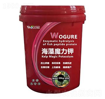 ����ħ���-�ָ���