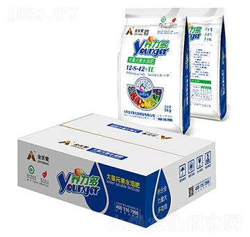 大量元素水溶肥12-8-42+TE-養(yǎng)力多-金沂蒙
