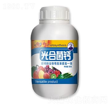 ��Ͼ��}-��������