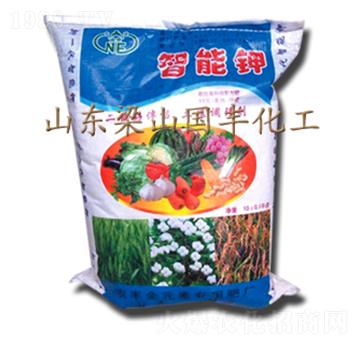 �߼��������-��(gu��)�S�ʘI(y��)