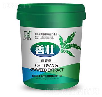 ������Ɖ�-���S